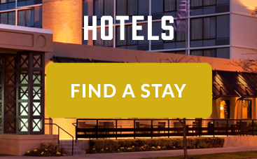 Hotels - Find a stay!
